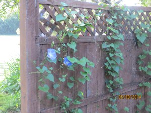 IMG_0745 (2)