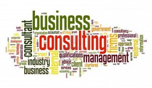 11596153-business-consulting-concept-in-word-tag-cloud-on-white-background2