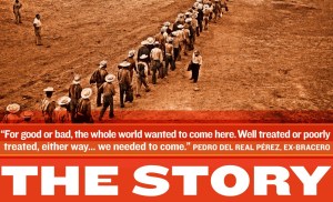 bracero-program-poster-series_NTOk