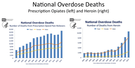 deaths from over drugging