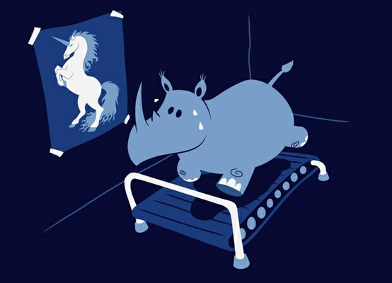 hippo to unicorn