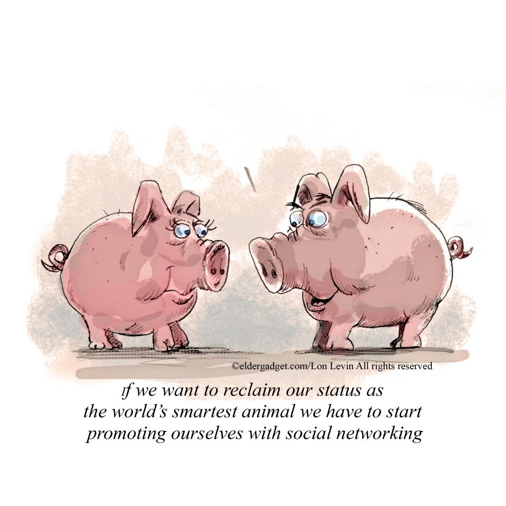 social networking pigs