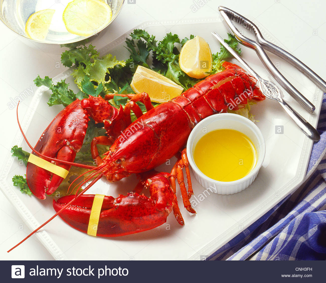 boiled-lobster-dinner-CNH3FH
