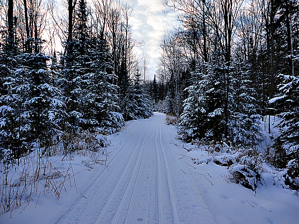 Wintertrail