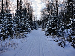 Wintertrail