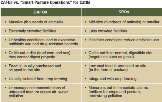 screen-shot-2012-08-07-at-4-16-52-pm