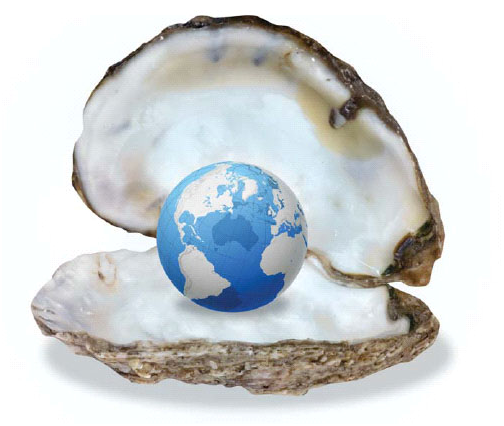 oyster