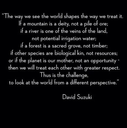 2c087c4a21acb3d800bbee0ce8d4df62